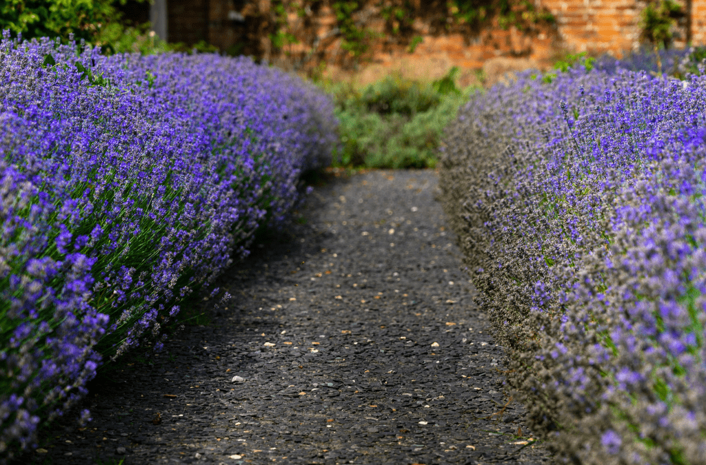 jardines sostenibles