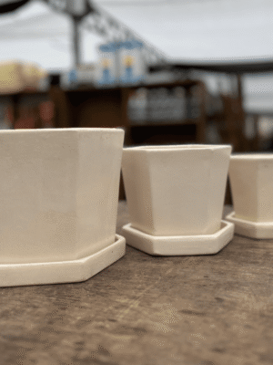 maceta-hexagonal-con-plato