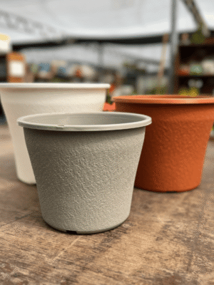 maceta-matri-ivana-owen