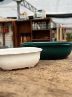 maceta-matri-ovalada-bonsai