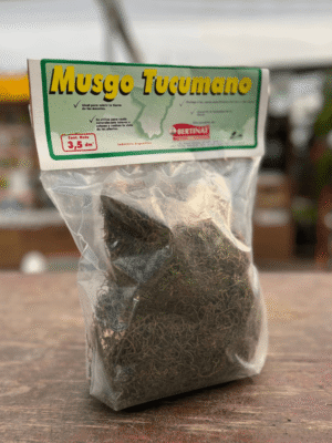 Musgo-tucumano