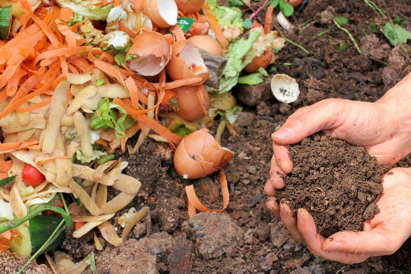 En este post vas a encontrar todo lo necesario para introducirte en el mundo del compostaje ¿Qué es? ¿Cómo se hace? ¿Para qué?