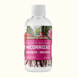 ecomambo-micorrizas