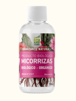 ecomambo-micorrizas