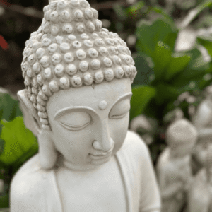 buda-meditando