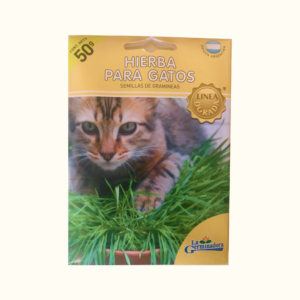 Los gatos necesitan comer hierba para su digestion así, de manera natural, eliminar los pelos ingeridos.