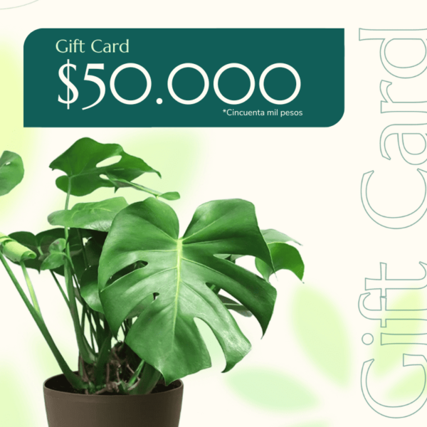 gift-card-50000
