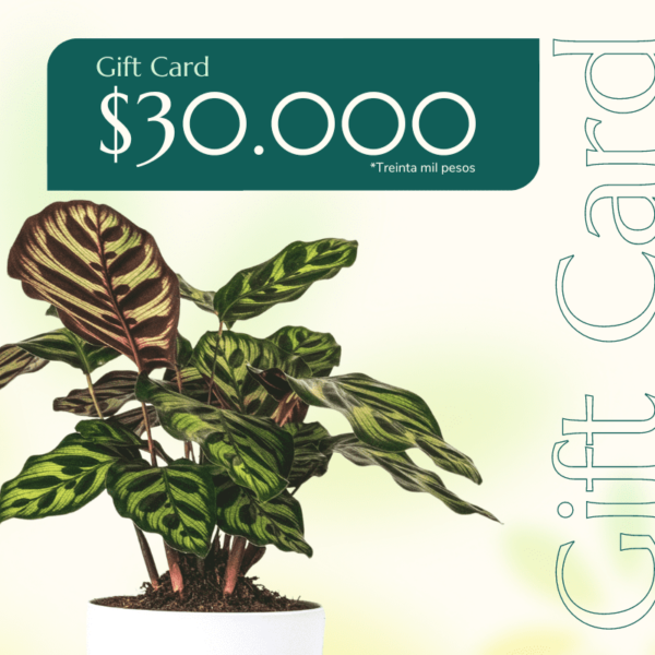 gift-card-30000