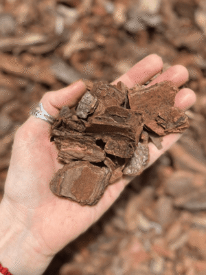 chips-corteza-de-pino