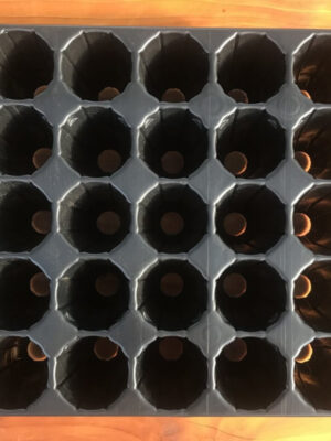 El Almácigo Bandeja 25 alveolos es una bandeja de germinación ideal para la siembra de semillas de distintas especies, como hortalizas.