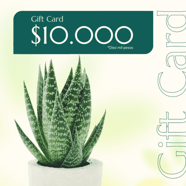 gift-card-10000