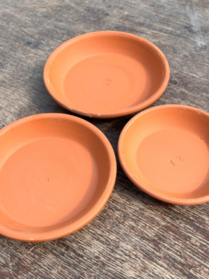 platos-terracota-blum