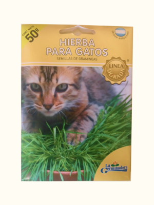 Los gatos necesitan comer hierba para su digestion así, de manera natural, eliminar los pelos ingeridos.