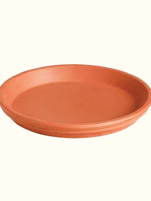 Blum Plato Bajo es una gran opción dentro de la macetería de barro para la decoración de nuestros hogares y jardines.