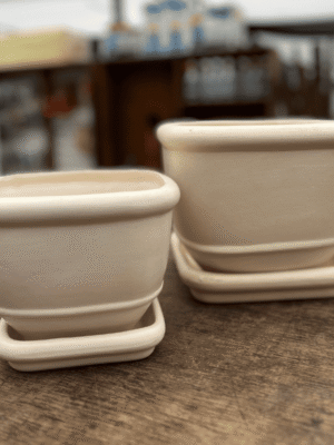 macetero-frances-con-plato