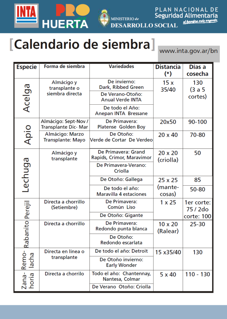 ¿No sabés cuándo sembrar? Te dejamos un calendario de siembra con especies de todas las estaciones, formas de siembra y días para su cosecha.