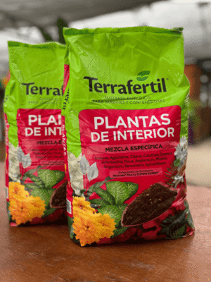 terrafertil-plantas-de-interior