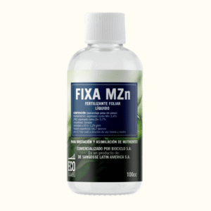 ecomambo-fixa-mzn