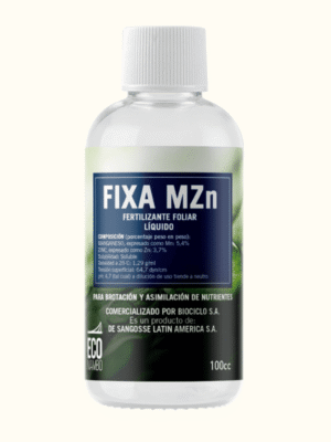ecomambo-fixa-mzn