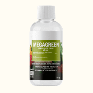 ecomambo-megagreen