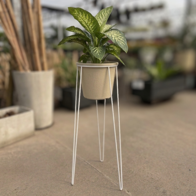 Soporte de hierro alto