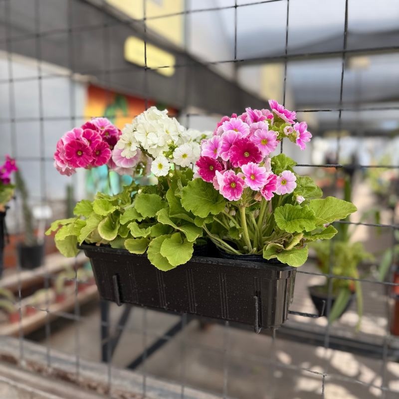 Soporte hierro para jardinera