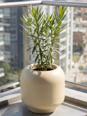 Gardena-Laurel de jardin